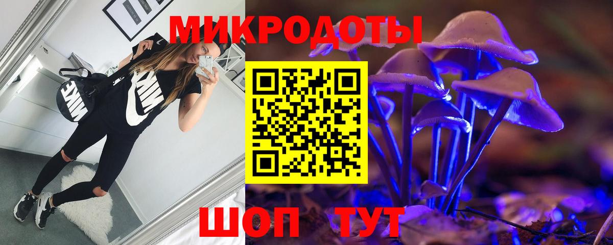 хочу   Вход с VPN  Скопин  Галлюциногенные грибы MAGIC MUSHROOMS 